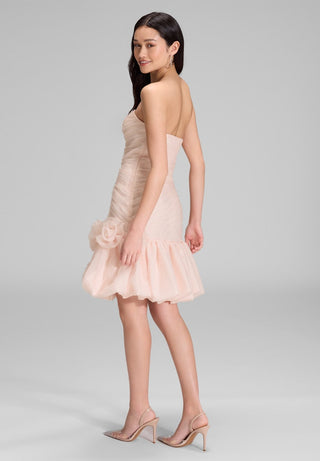 Bellinendress_Rose_3